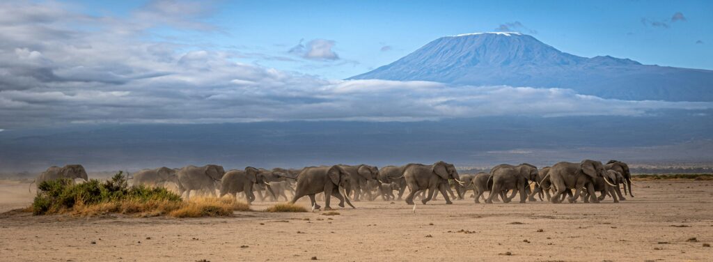 Mount Kilimanjaro Trek